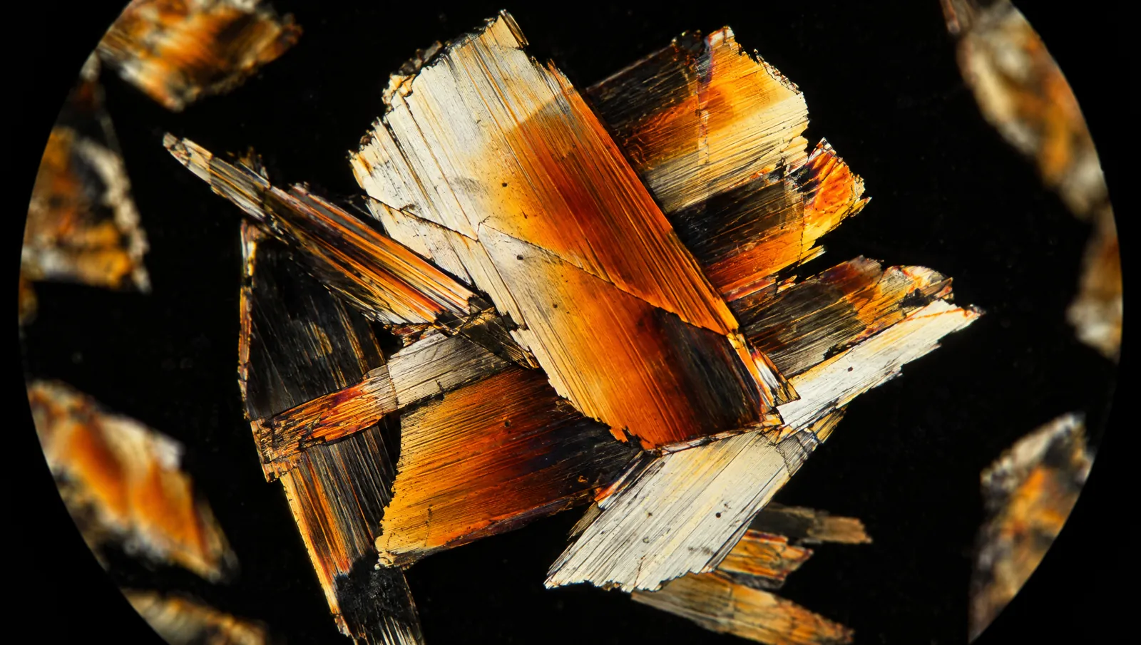 L-leucine crystals photographed under polarised light, showing amber and orange interference colours